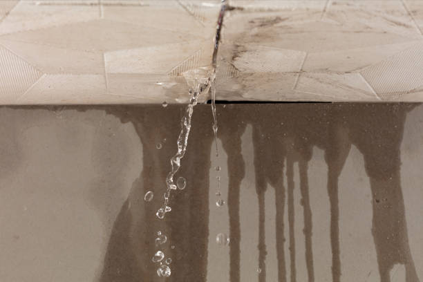 Professional Water Damage Repair technician working in North Carolina, NC